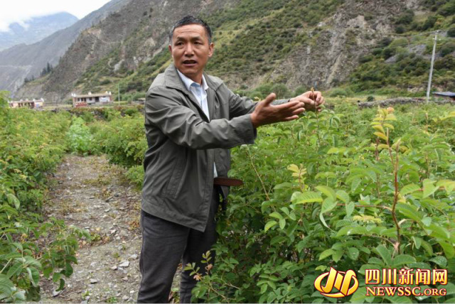 ԭ��(l��i)�L(zh��ng)��·�@ô�y��Ҳ�����@ô����