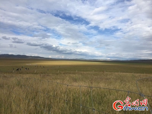 ���W(w��ng)�j(lu��)ý�w���D(zhu��n)�ġ������L���D�U�� �_���صء��Ҹ�����