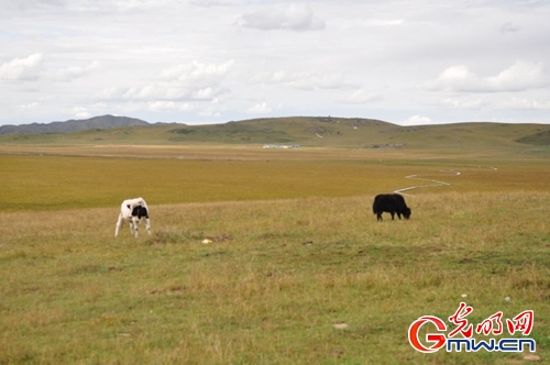 ���W(w��ng)�j(lu��)ý�w���D(zhu��n)�ġ������L���D�U�� �_���صء��Ҹ�����