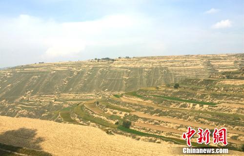 ��·���Ե����������¾W �N�� �z