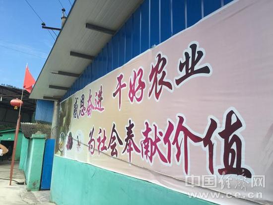 �����DƬ�f�����t�Ǵ���^���������ж��^�M���ɺ��r(n��ng)�I(y��)�����@Ҳ�Ǽt�Ǵ��@Щ�꽛(j��ng)���l(f��)չ���挍�������Ї���(j��ng)���W(w��ng)ӛ���R���G�z