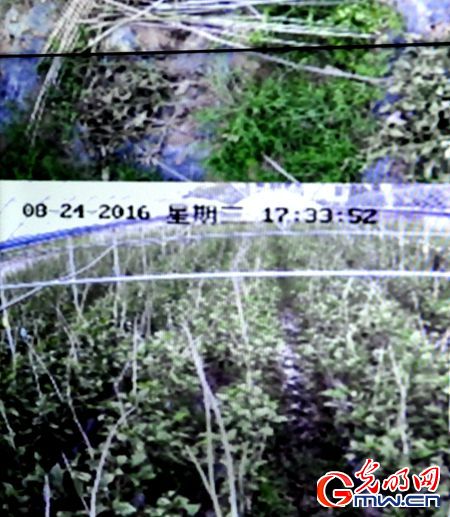 ���W(w��ng)�j(lu��)ý�w���D(zhu��n)�ġ���P�L������ ̽�������υ^(q��)Óؚ�¸����ؼ���