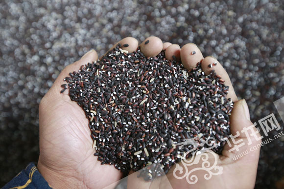 ���W(w��ng)�j(lu��)ý�w���D(zhu��n)�ġ��tɫ�υ^(q��)��������ʾ������ �ؑc����������ɫ�����N·��