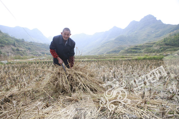 ���W(w��ng)�j(lu��)ý�w���D(zhu��n)�ġ��tɫ�υ^(q��)��������ʾ������ �ؑc����������ɫ�����N·��