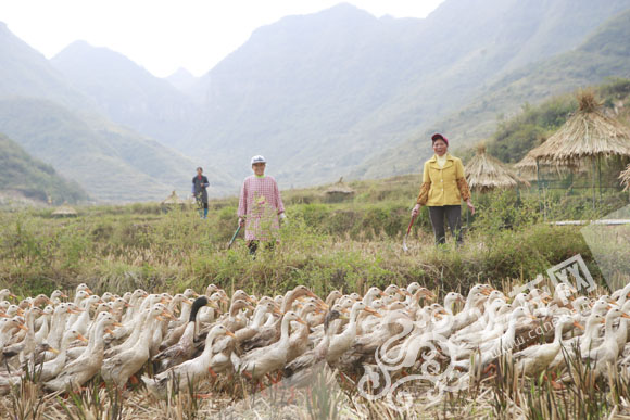 ���W(w��ng)�j(lu��)ý�w���D(zhu��n)�ġ��tɫ�υ^(q��)��������ʾ������ �ؑc����������ɫ�����N·��