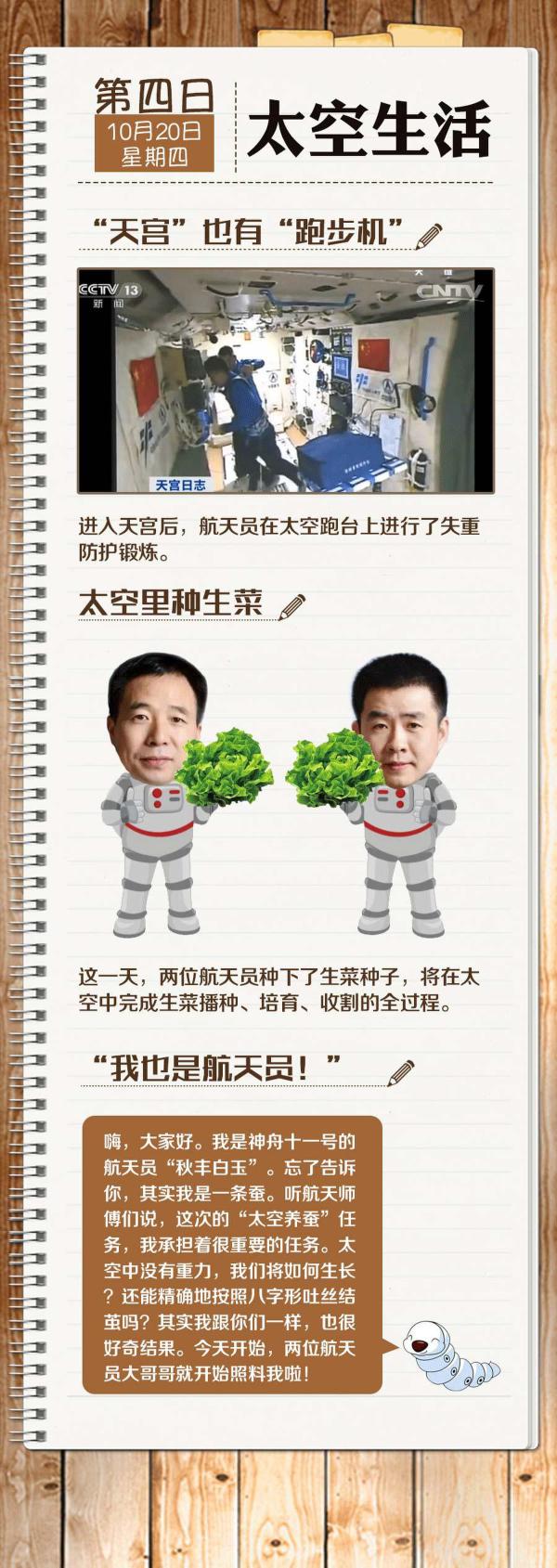 ���أ�����T��m����һ�ܶ��� �������׽�(j��ng)�v��ʲô��