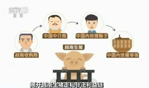 ��ҕ��Խ�����i��˽朣��ďV���뾳 С�(zh��n)�鲼��˽ͨ��