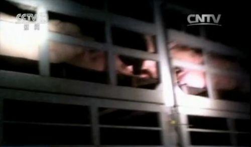 ��ҕ��Խ�����i��˽朣��ďV���뾳 С�(zh��n)�鲼��˽ͨ��