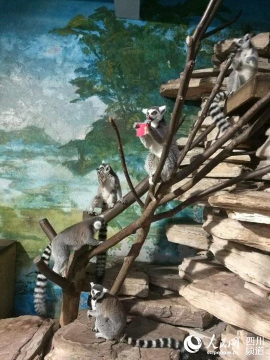 ������ܡ��t�����е���ζʳ�������� �z