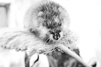 �`�����׷��ġ����󡱾��Ǉ���һ�����o��������