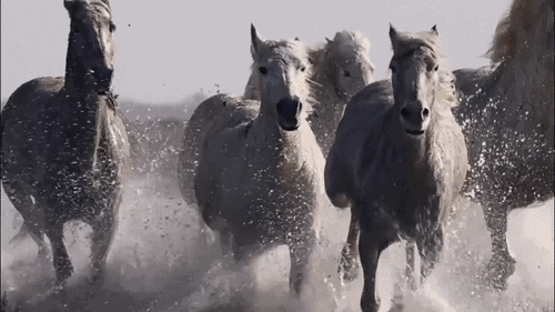 ���·��������` ��(n��i)�ɹ�ƪ�����ܰ�����(n��i)�ɹ���