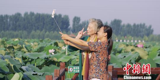 �D���ȷ��ײ�����΢�Ӱ����(l��)���ȷ�����ԓ����ӿh�f(w��n)���Ɉ@ȡ���Ĕz���������� �z