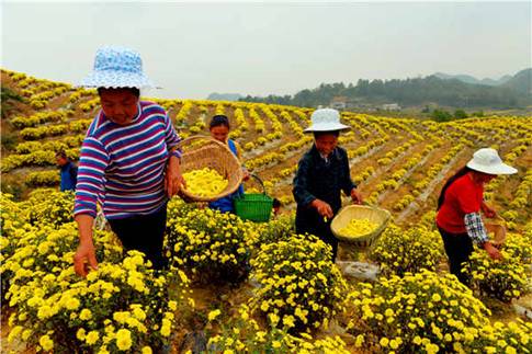 �ƵZ�^�M�����꣺Óؚ���Գɾʹ�  Ⱥ�����ġ��@�øС�