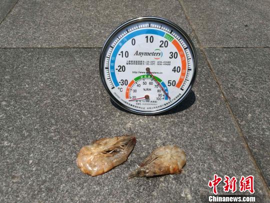 �������m(x��)�ߜء����^(gu��)���������񱊡�����(zh��n)�߿���