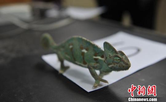 ����ɭ�־����ƫ@һ���ش�W(w��ng)�j(lu��)؜�uҰ�����Ｐ��Ʒ��