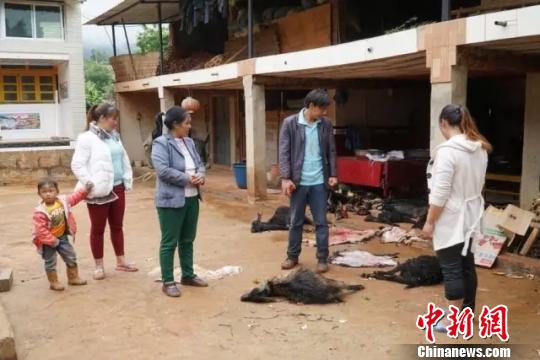 �����e��110ֻ��Ұ����(d��ng)�﹥������@12.44�f���U(xi��n)�r��