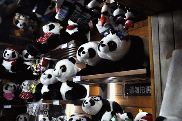 ���W(w��ng)�j(lu��)ý�w���D(zhu��n)�ġ��^��ح���Ƕѡ���؈IP��������(l��i)�� ���A�Ļ����ň�(ji��n)����������