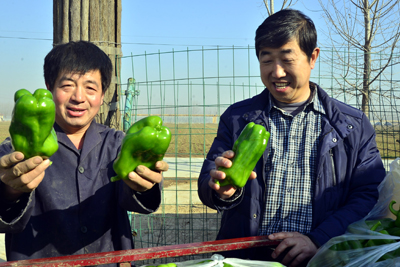 �߲˴�������������鿴�A���L(zh��ng)��(sh��)��r�����DƬ��(l��i)Դ�ھW(w��ng)�j(lu��)��