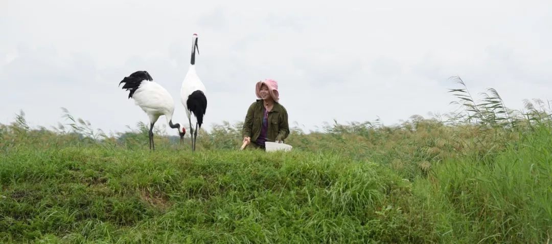 �^�����ゃ���ɾ͊^�M(j��n)���Ї�(gu��)��