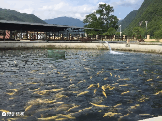 �������Ї��L���С����ˮ�������S���~��