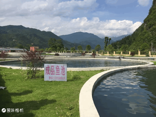 �������Ї��L���С����ˮ�������S���~��