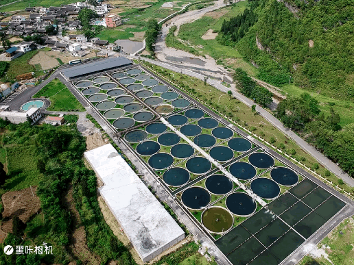 �������Ї��L���С����ˮ�������S���~��