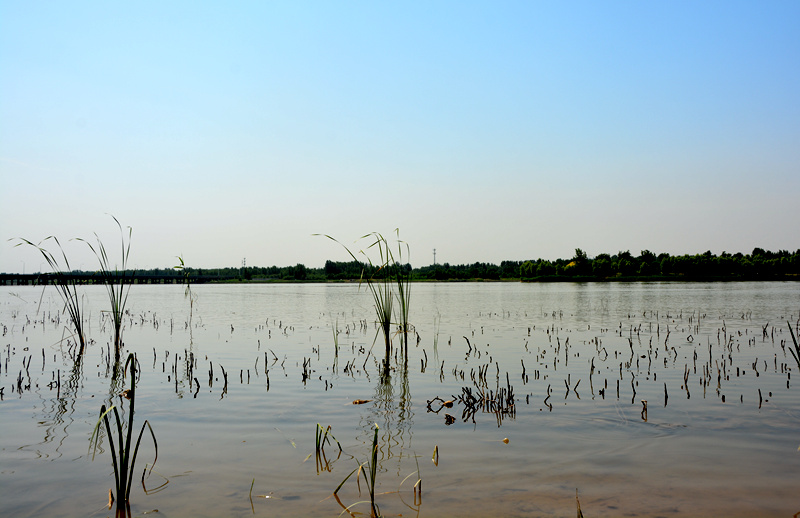 ��Щ���������Ӻӵ��ɺ���ɳʯ��������ֿv�M����(j��ng)�^���B(t��i)�ޏ�(f��)���a(b��)ˮ������@���ѽ�(j��ng)�ɞ��Ѕ^(q��)�������B(t��i)���^����ˮ���L(f��ng)���^(q��)��������W(w��ng)ӛ�ߌO����z��