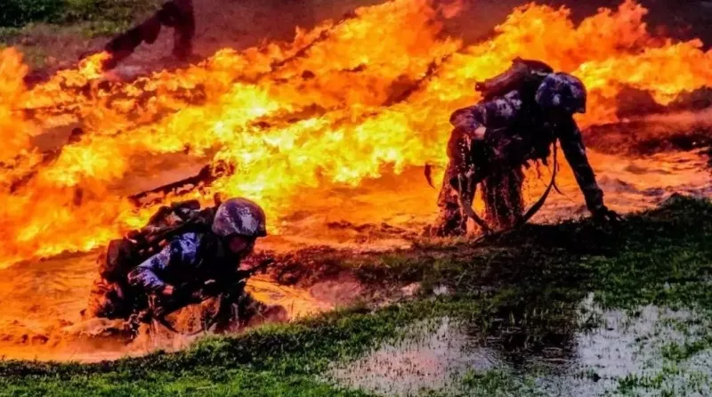 �挦(du��)����(zh��n)���Ї�(gu��)܊�˵�ÿһ��(g��)��Ӱ��׌�˳�Mϣ��