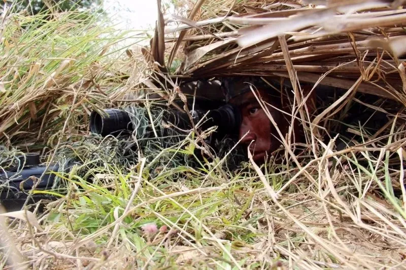 �挦(du��)����(zh��n)���Ї�(gu��)܊�˵�ÿһ��(g��)��Ӱ��׌�˳�Mϣ��