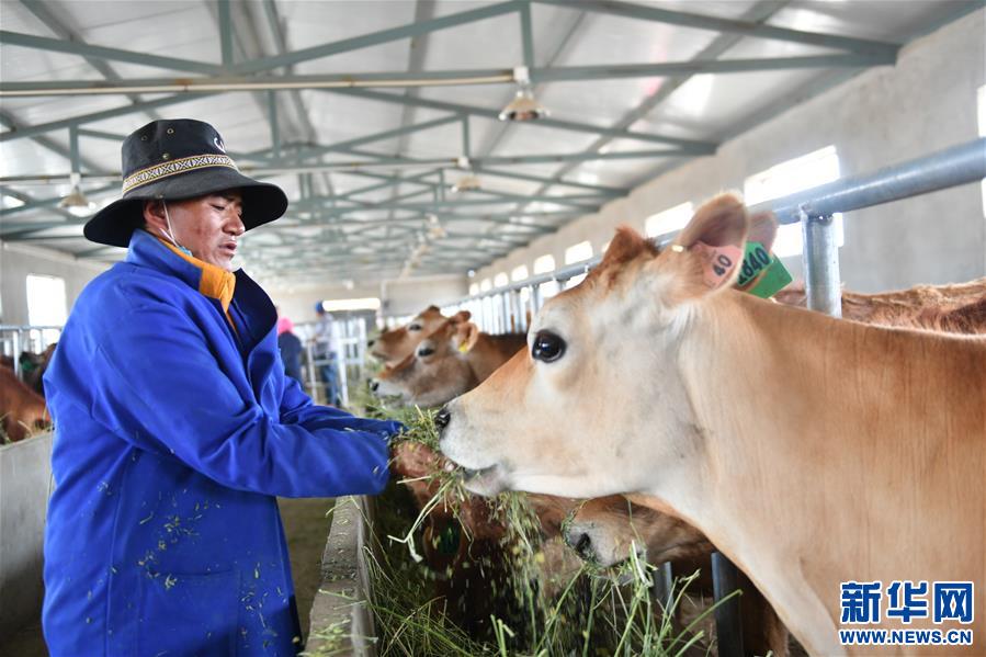 ��Óؚ����(ji��n)����4�����ذ�����B(t��i)�r(n��ng)�I(y��)��Óؚ