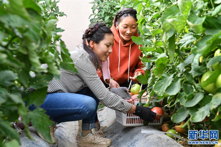 ��Óؚ����(ji��n)����7�����ذ�����B(t��i)�r(n��ng)�I(y��)��Óؚ