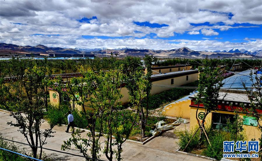 ��Óؚ����(ji��n)����9�����ذ�����B(t��i)�r(n��ng)�I(y��)��Óؚ