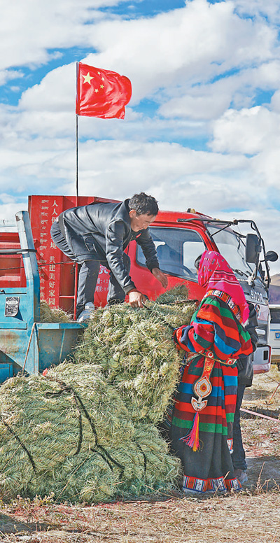 ��ݹ�(ji��)�ϸ��P(y��ng)������һ����