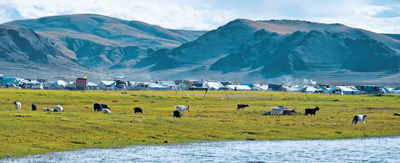 ��ݹ�(ji��)�ϸ��P(y��ng)������һ����