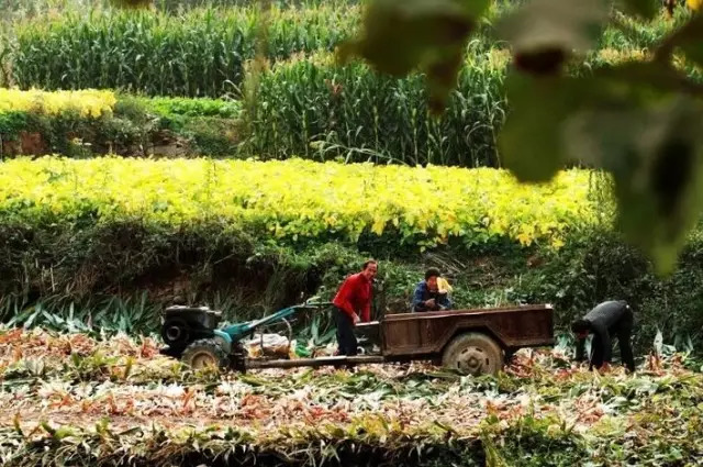 ��һ�N�żٽлؼ��������@�M����Ƭˢ������Ȧ