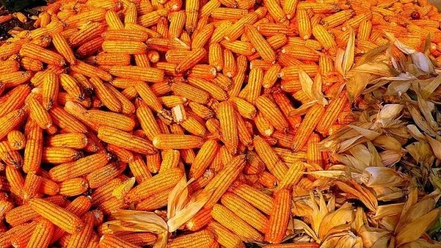 ��һ�N�żٽлؼ�����@�M����Ƭˢ������Ȧ