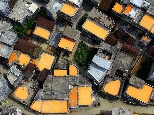 ��һ�N�żٽлؼ��������@�M����Ƭˢ������Ȧ