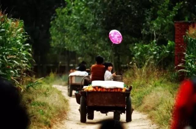 ��һ�N�żٽлؼ�����@�M����Ƭˢ������Ȧ