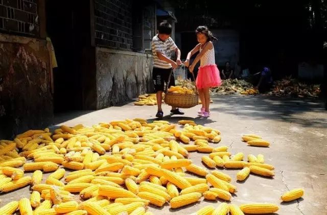 ��һ�N�żٽлؼ��������@�M����Ƭˢ������Ȧ