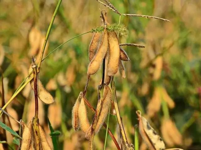 ��һ�N�żٽлؼ�����@�M����Ƭˢ������Ȧ