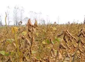 ��һ�N�żٽлؼ��������@�M����Ƭˢ������Ȧ