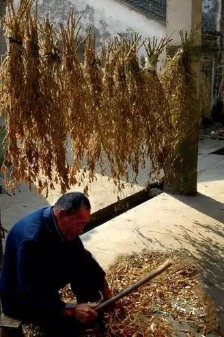 ��һ�N�żٽлؼ��������@�M����Ƭˢ������Ȧ