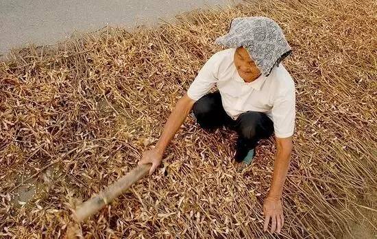 ��һ�N�żٽлؼ��������@�M����Ƭˢ������Ȧ