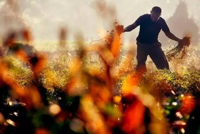 ��һ�N�żٽлؼ��������@�M����Ƭˢ������Ȧ