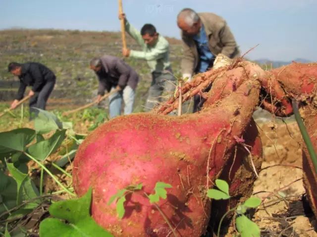 ��һ�N�żٽлؼ��������@�M����Ƭˢ������Ȧ