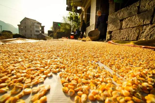 ��һ�N�żٽлؼ�����@�M����Ƭˢ������Ȧ