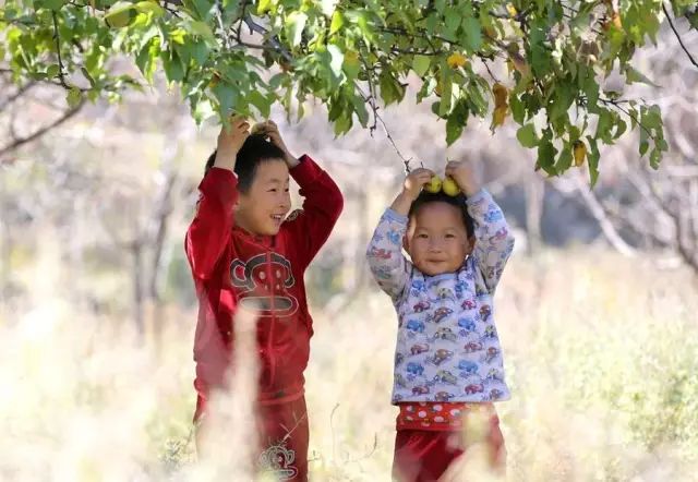 ��һ�N�żٽлؼ��������@�M����Ƭˢ������Ȧ