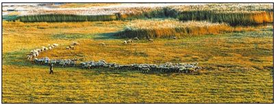 幫扶到田頭 群眾有奔頭