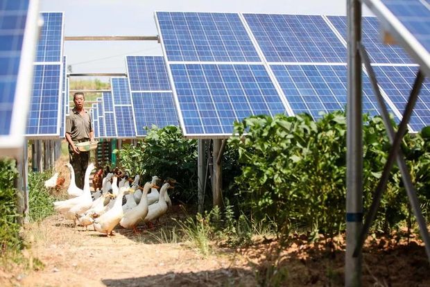 �ē��U�Ȟĵ����ʷ�ؚ��40�꣬�D�f�������؟��