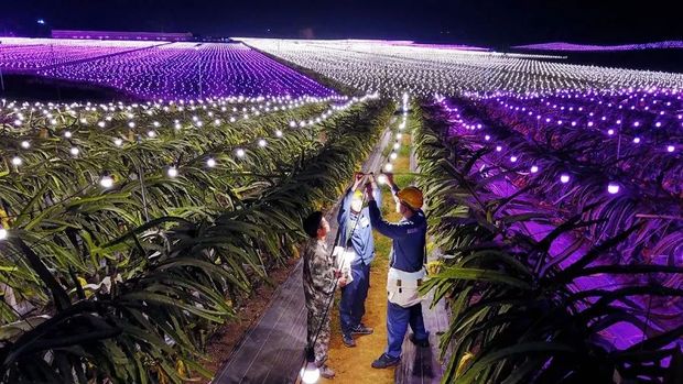 �ē��U�Ȟĵ����ʷ�ؚ��40�����D�f�������؟��